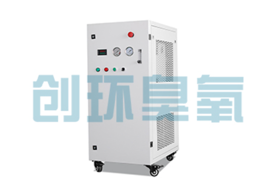 内丘石斑鱼养殖水质调控完整指南:臭氧发生器配置与操作步骤
